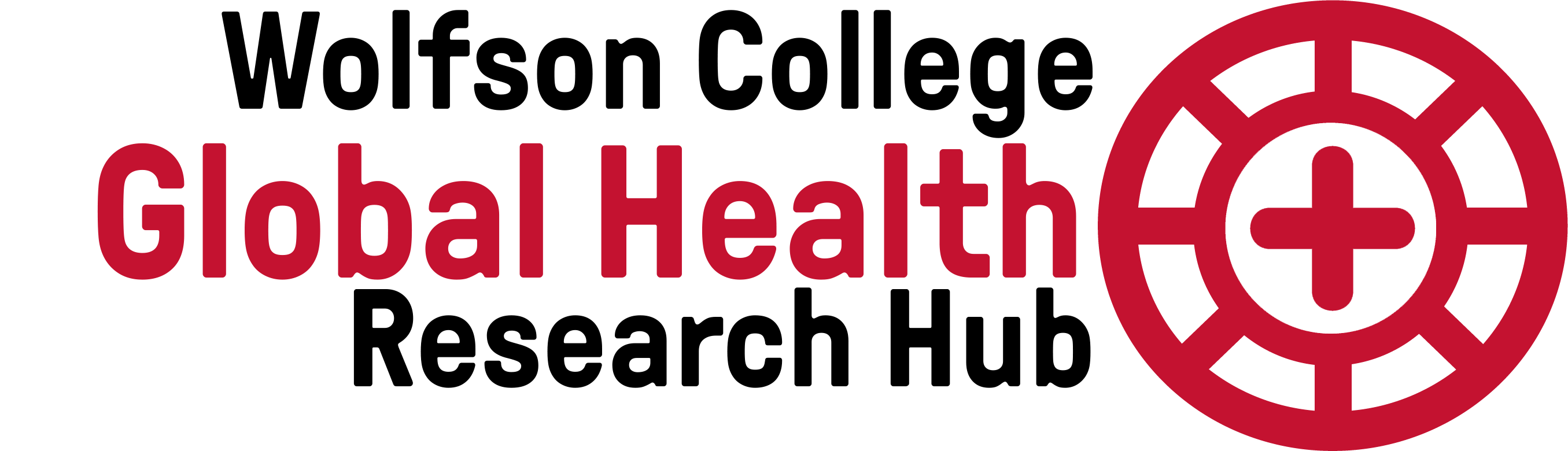 Global Health Hub logo