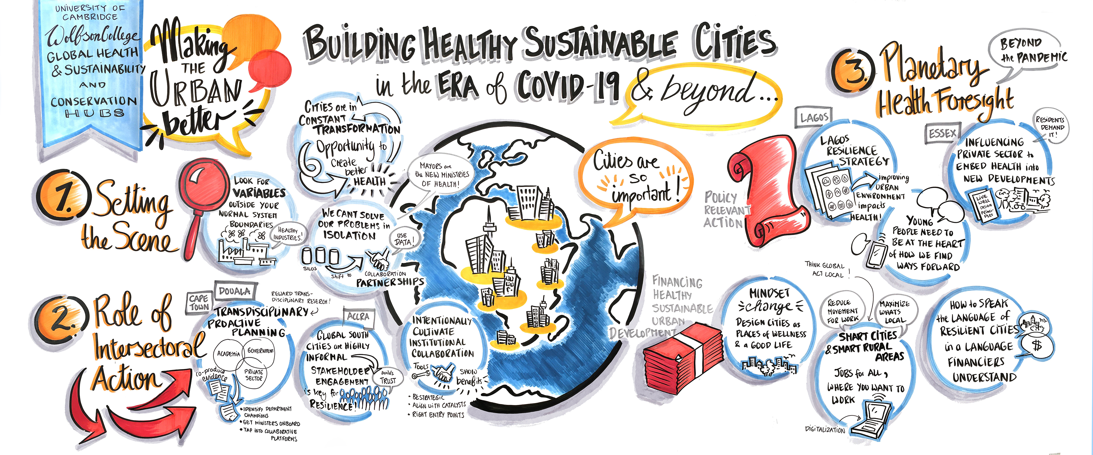 Global Health hub illustration