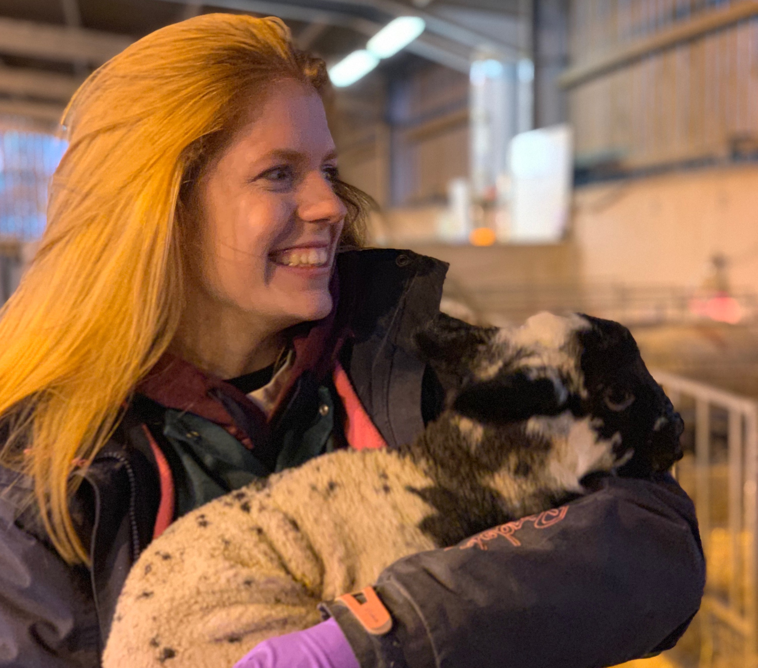 Lambing with Chloe Ellison
