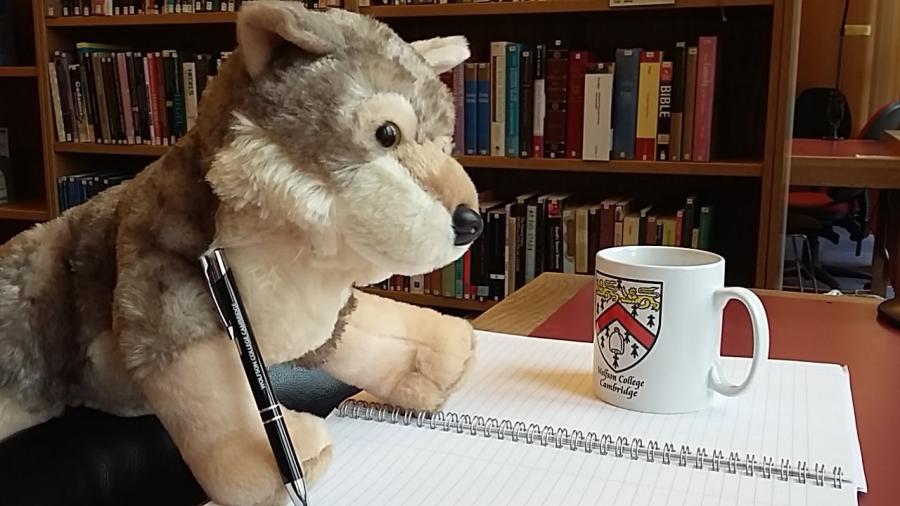 Virginia the stuffed wolf working at a desk