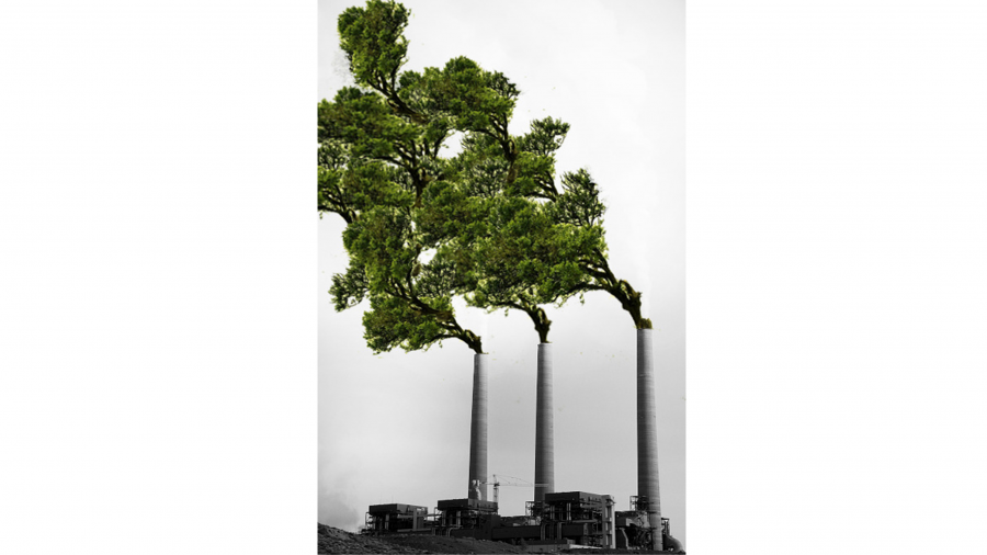 An image showing trees coming out of industry chimney stacks as if they were smoke