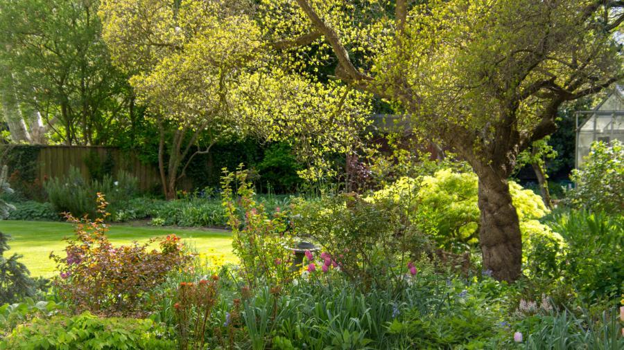 Wolfson Garden in spring