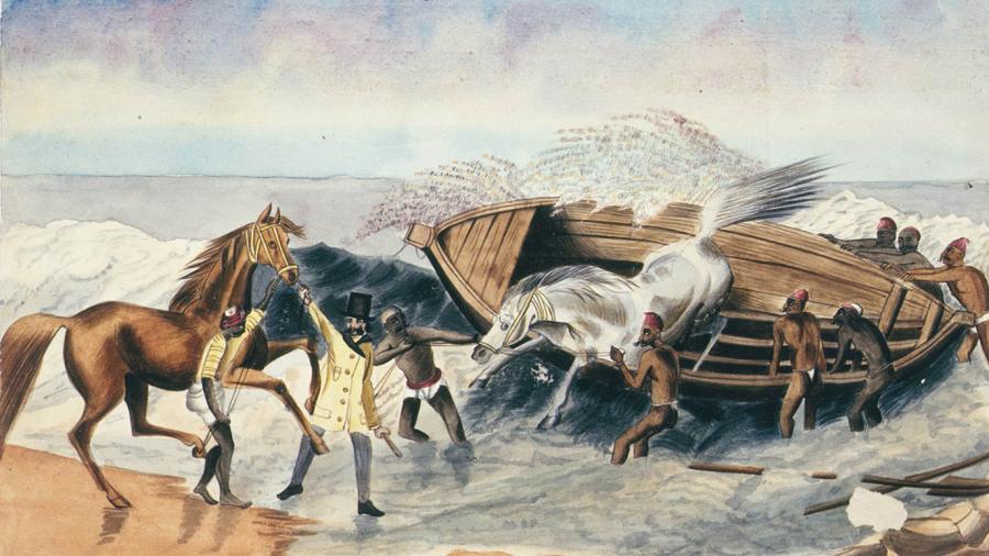 Landing horses from Australia: Catamarans and Masoolah boat, Madras [Chennai], c.1834 (State Library of New South Wales).