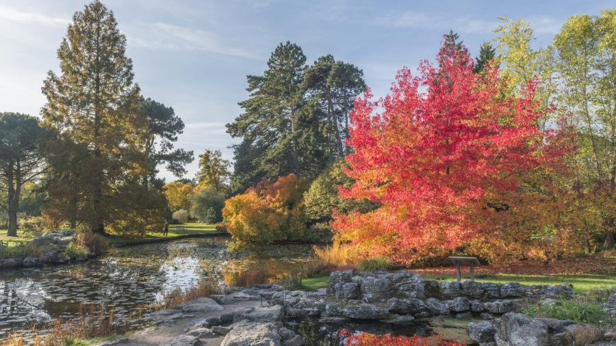 Cambridge University Botanic Garden in Autumn