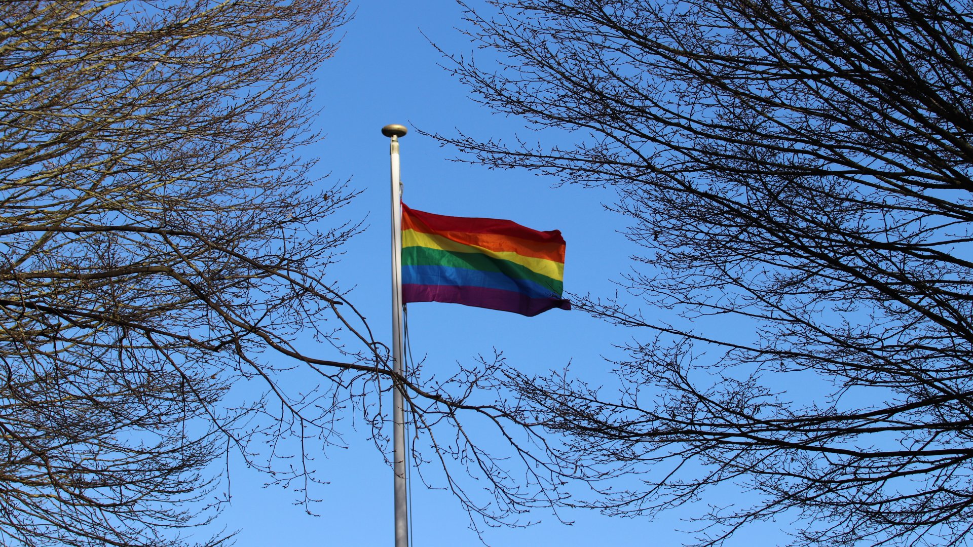 The Pride flag flies over Wolfson College
