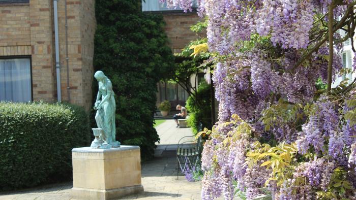 Statue of temperance and wisteria in bloom