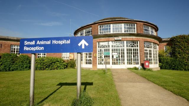 Small animal hospital Vet School University of Cambridge