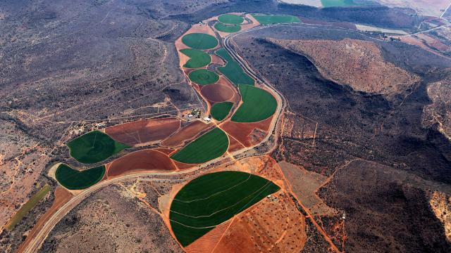 View of irrigated fields by Wynand Uys/Unsplash