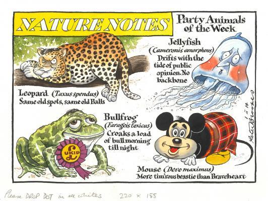 Nature Notes, Party Animals of the Week ̶ 1.ii.14