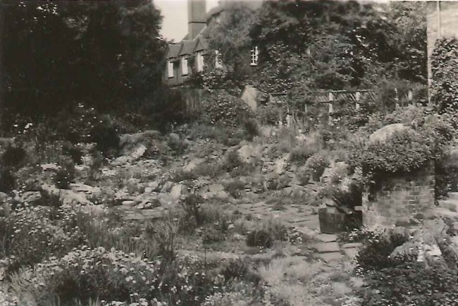 The rock garden in 1933 The rock garden in a more mature state in 1933, with 10 Selwyn Gardens in the background (from the Gardiner Family Photograph Albums, Wolfson College Archives, with kind permission of Celia Haddon).