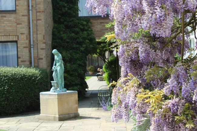 Statue of temperance and wisteria in bloom