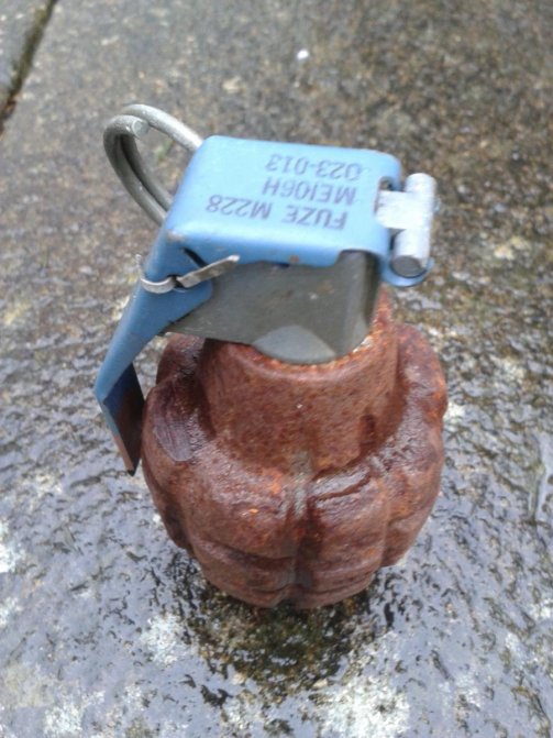 'Pineapple' grenade, rusted, WW2