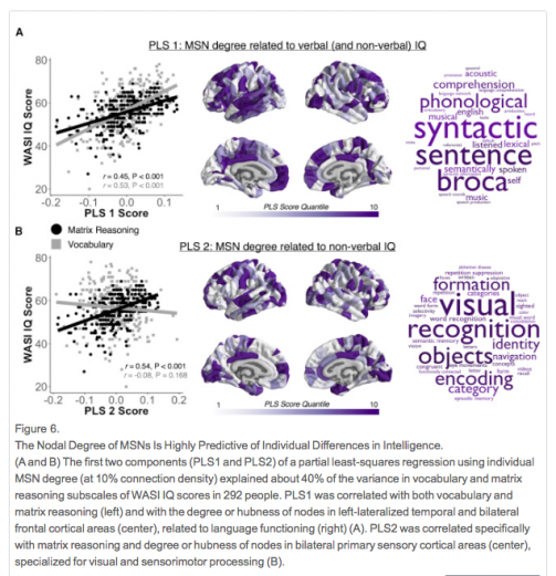 Figure from Seidlitz, J et al. Morphometric Similarity Networks Detect Microscale Cortical Organisation and Predict Inter-Individual Cognitive Variation. Neuron; 21 Dec 2017; DOI: 10.1016/j.neuron.2017.11.039.