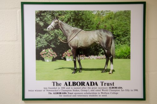 Photo of the Alborada Trust from the Alborada building