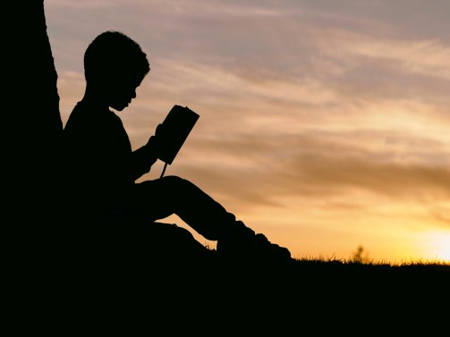 silhouette of boy reading against a tree at sunset