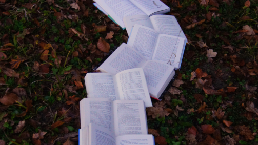 Books lay open in a pathway through the forest ground
