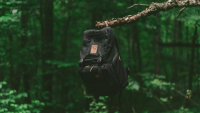 A black backpack hangs from a tree branch in a lush, green forest.