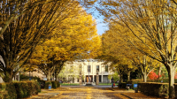 A tree-lined campus walkway covered in golden autumn leaves leads toward a building, creating a vibrant canopy with a few people walking along the path.